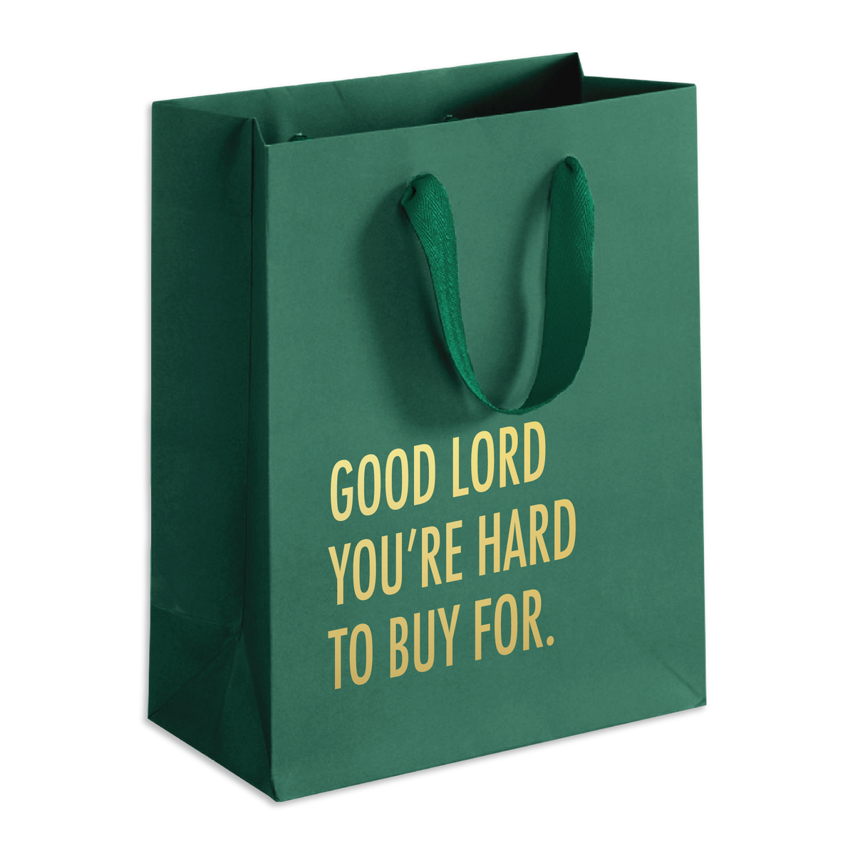 Hard to Buy For (Green) - Holiday Funny Gift Bag